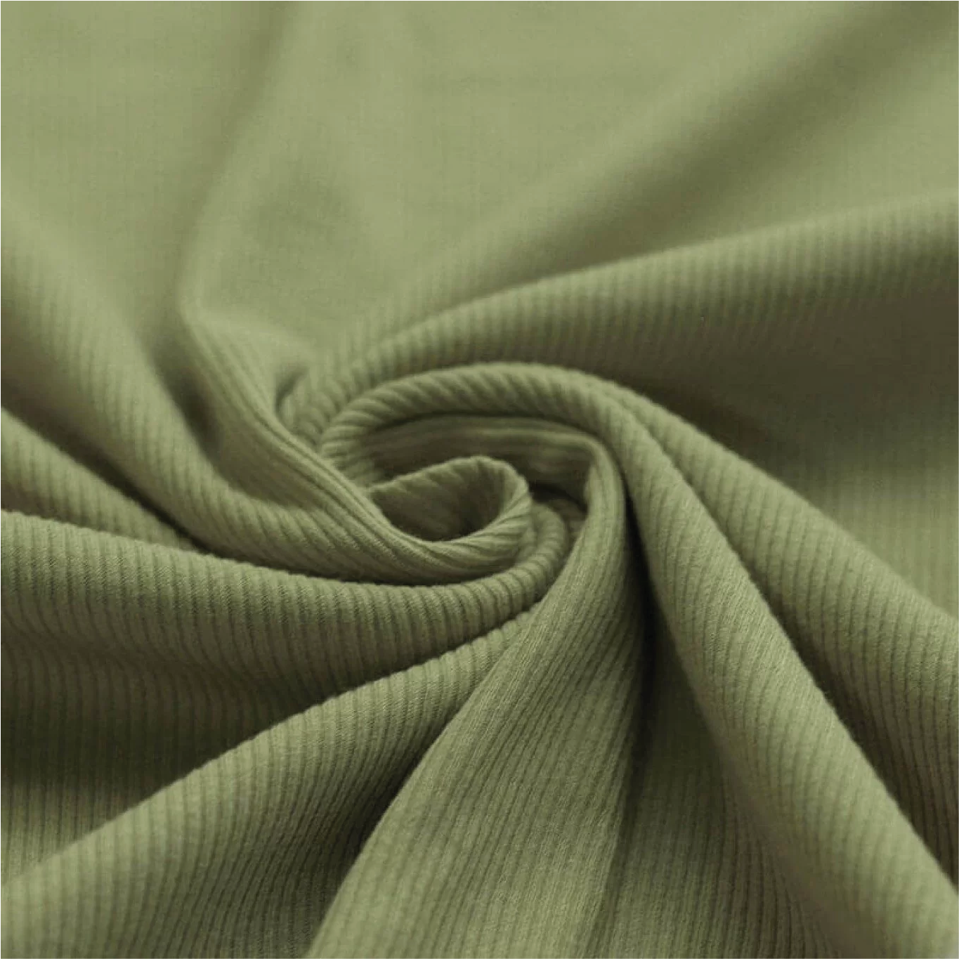 Rib jersey: olive