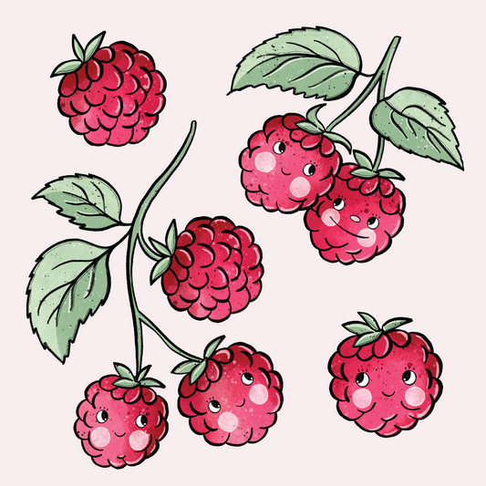 Silityskuva: Vadelmat-arkki